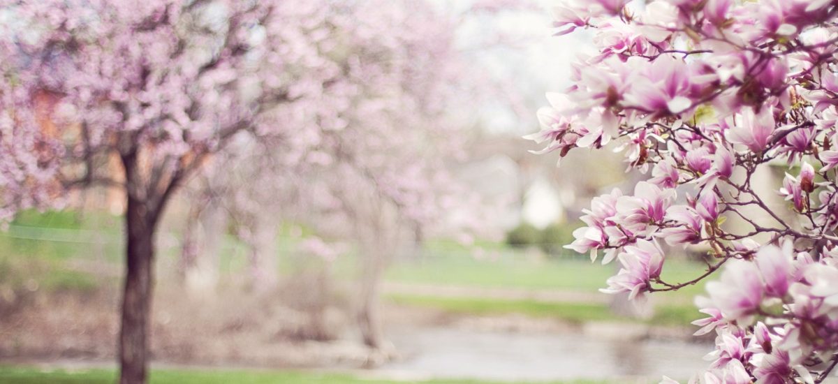 Spring Bank Holiday – Public Holiday (Isle of Man)