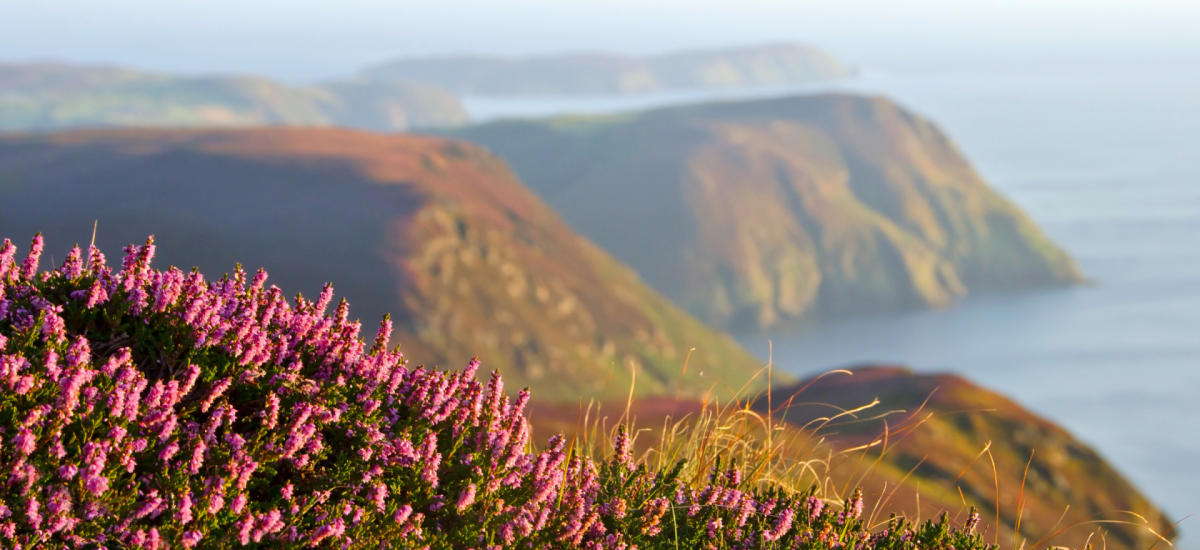 Early May Bank Holiday – Public Holiday (Isle of Man)