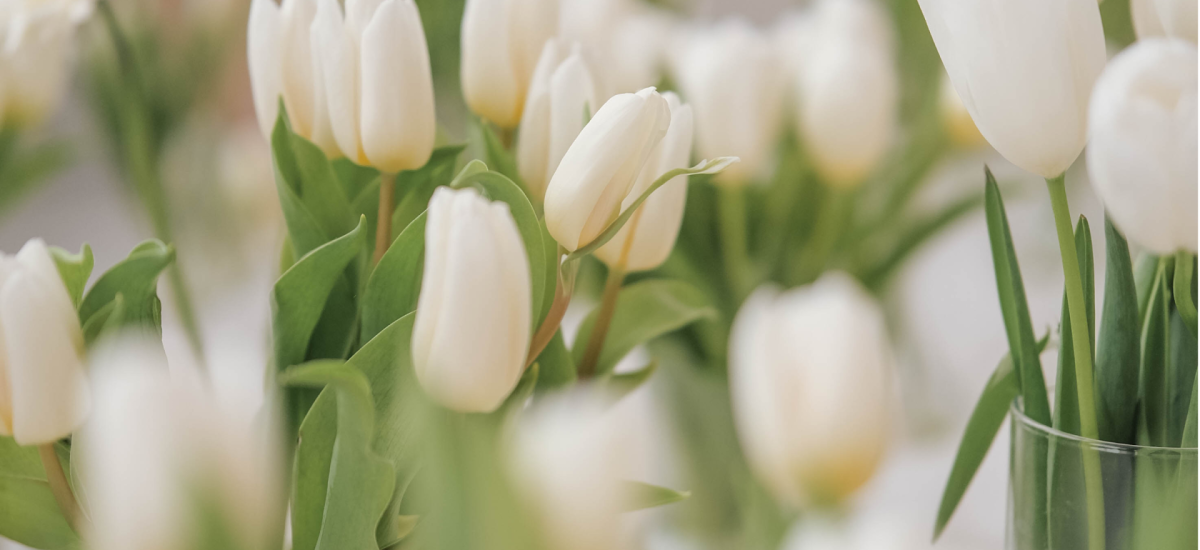 Easter Monday – Public Holiday (Isle of Man)