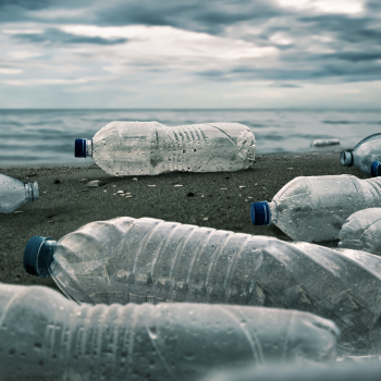 Eat Sleep Recycle Repeat
