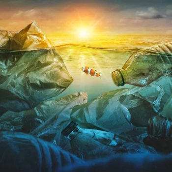 Eyesea: Mapping Pollution to Protect the Ocean