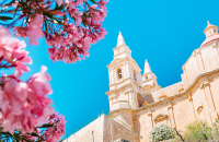 Feast of the Immaculate Conception – Public Holiday (Malta)