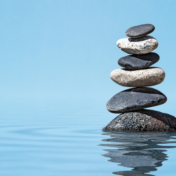 Preparing Families and Trusts for Life After the Settlor
