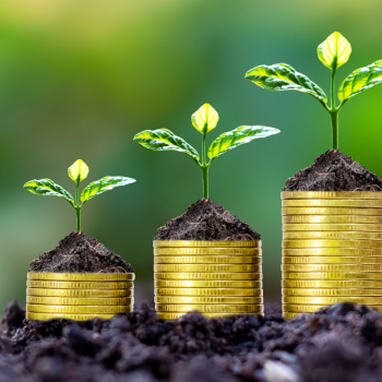 5 Reasons UHNWIs Should Consider a Trust for Wealth Protection
