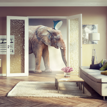 The Elephant in the Room – Economic Substance